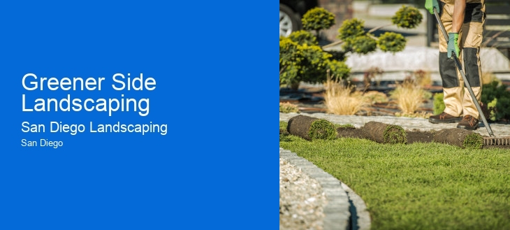 Greener Side Landscaping