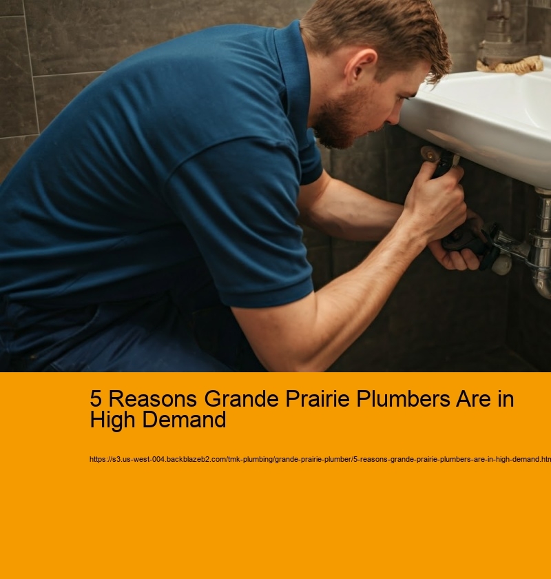 5 Reasons Grande Prairie Plumbers Are in High Demand