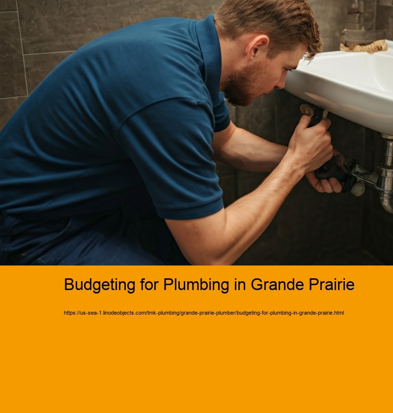 Budgeting for Plumbing in Grande Prairie
