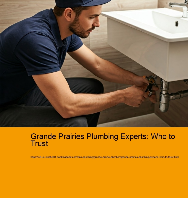 Grande Prairies Plumbing Experts: Who to Trust