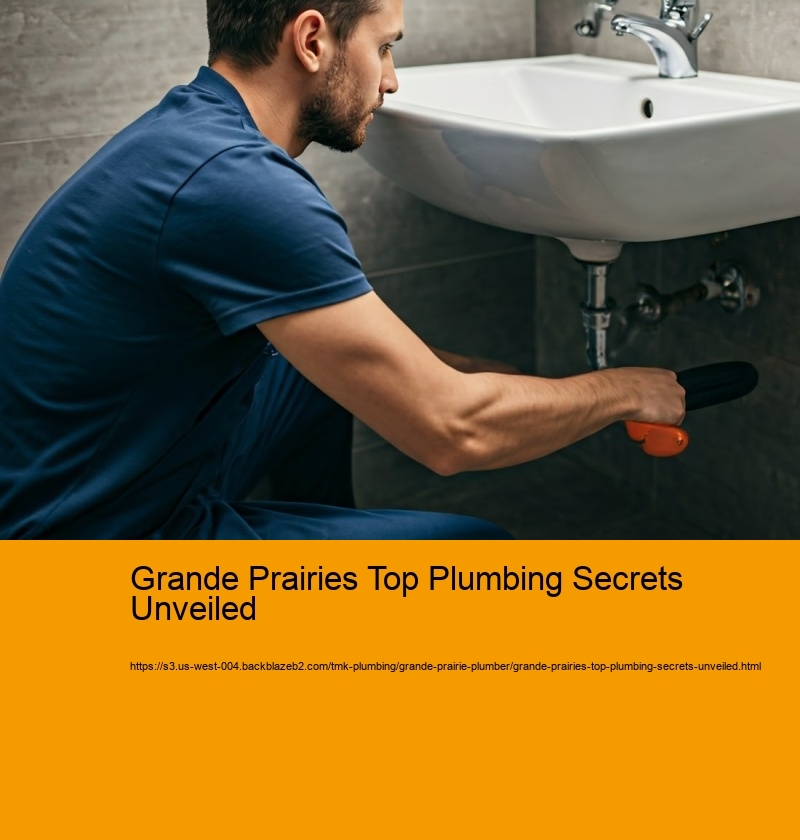 Grande Prairies Top Plumbing Secrets Unveiled
