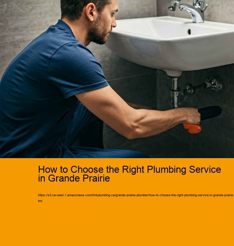 How to Choose the Right Plumbing Service in Grande Prairie