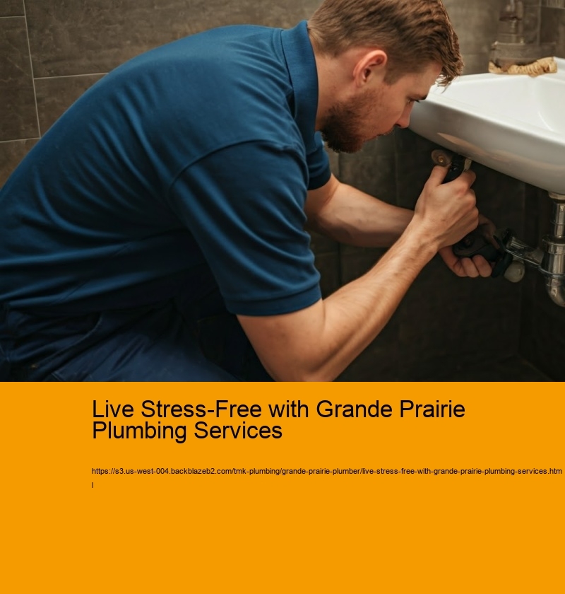 Live Stress-Free with Grande Prairie Plumbing Services