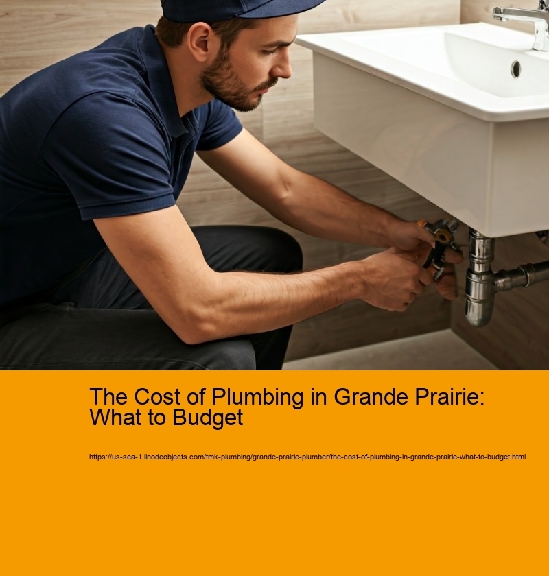 The Cost of Plumbing in Grande Prairie: What to Budget