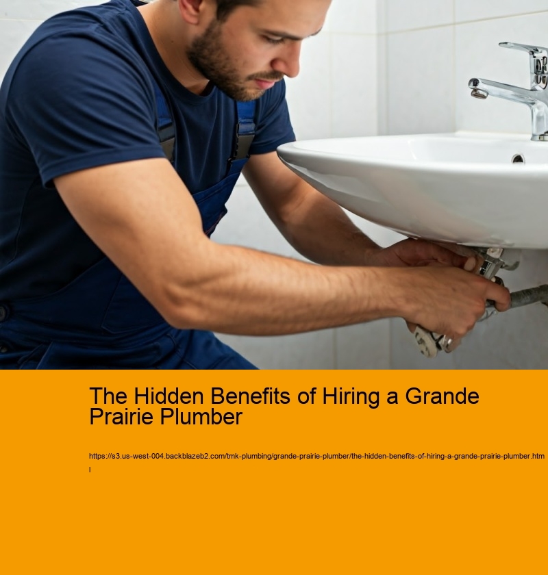 The Hidden Benefits of Hiring a Grande Prairie Plumber