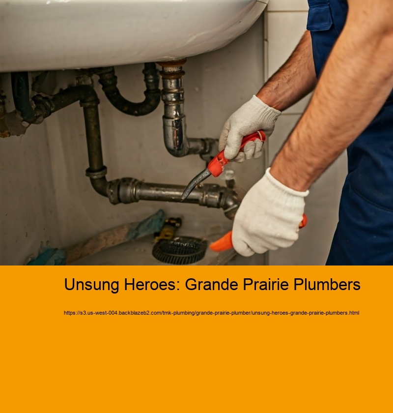 Unsung Heroes: Grande Prairie Plumbers
