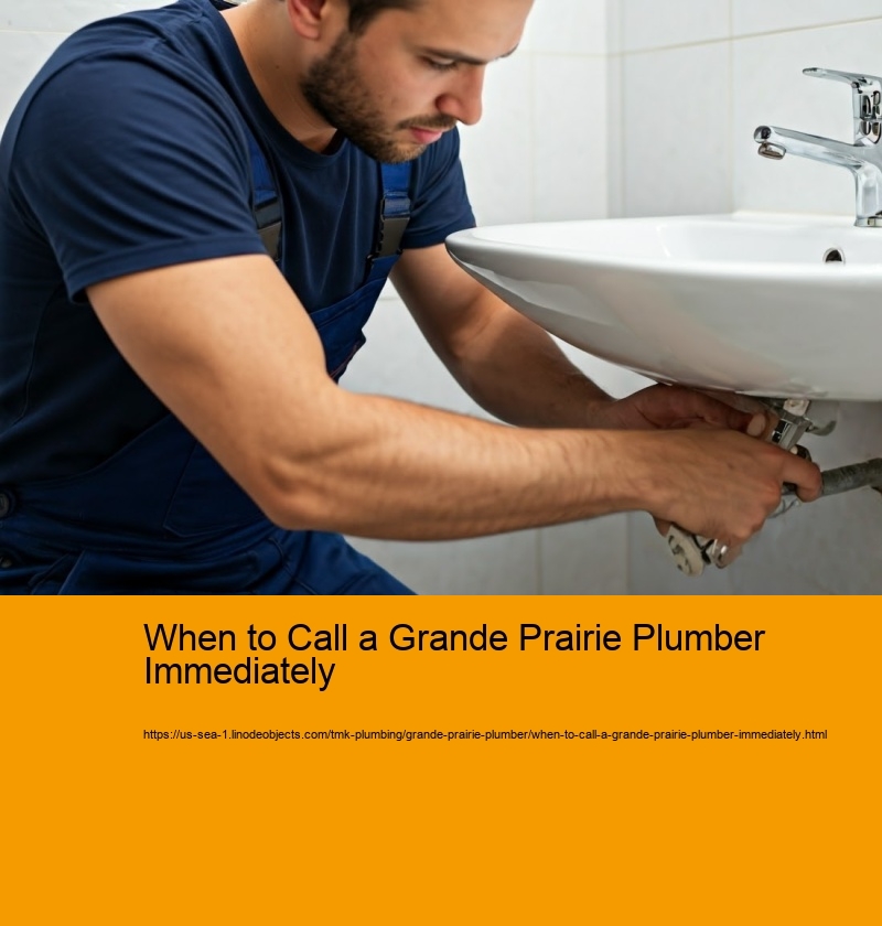 When to Call a Grande Prairie Plumber Immediately