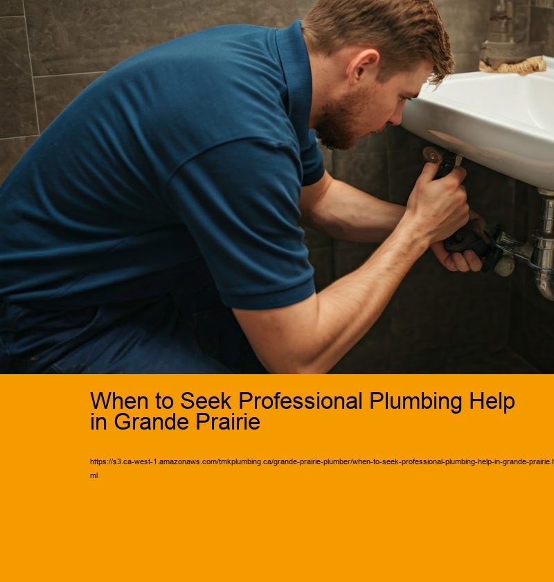 When to Seek Professional Plumbing Help in Grande Prairie