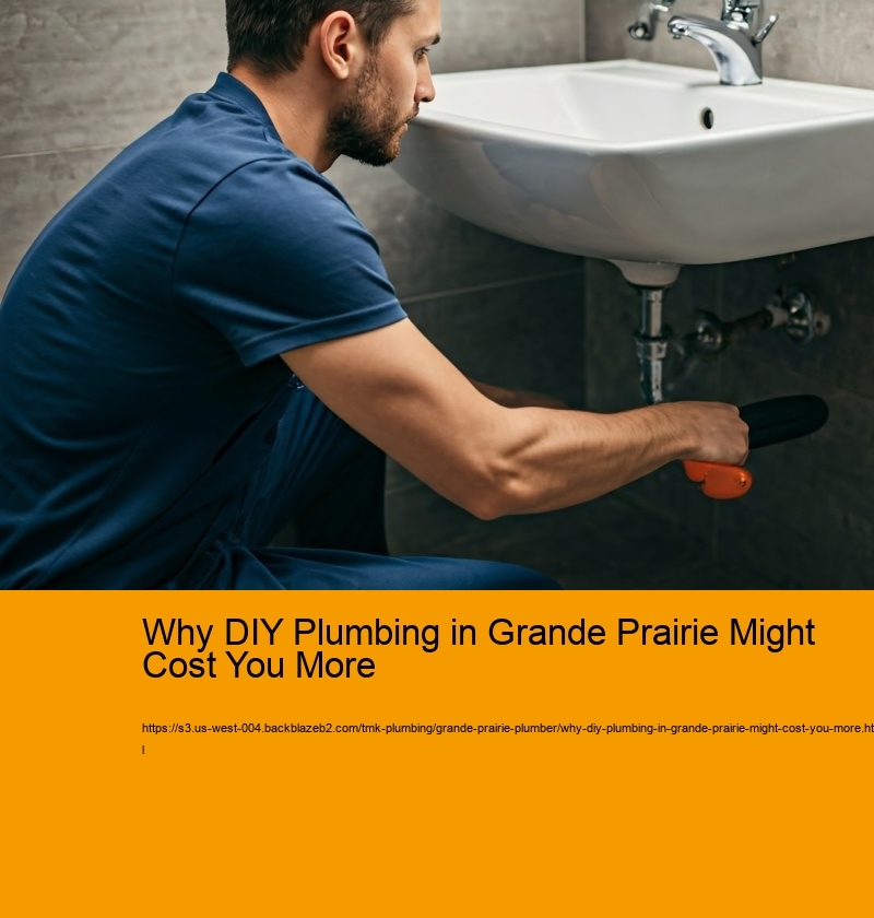 Why DIY Plumbing in Grande Prairie Might Cost You More