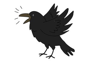 Crow
