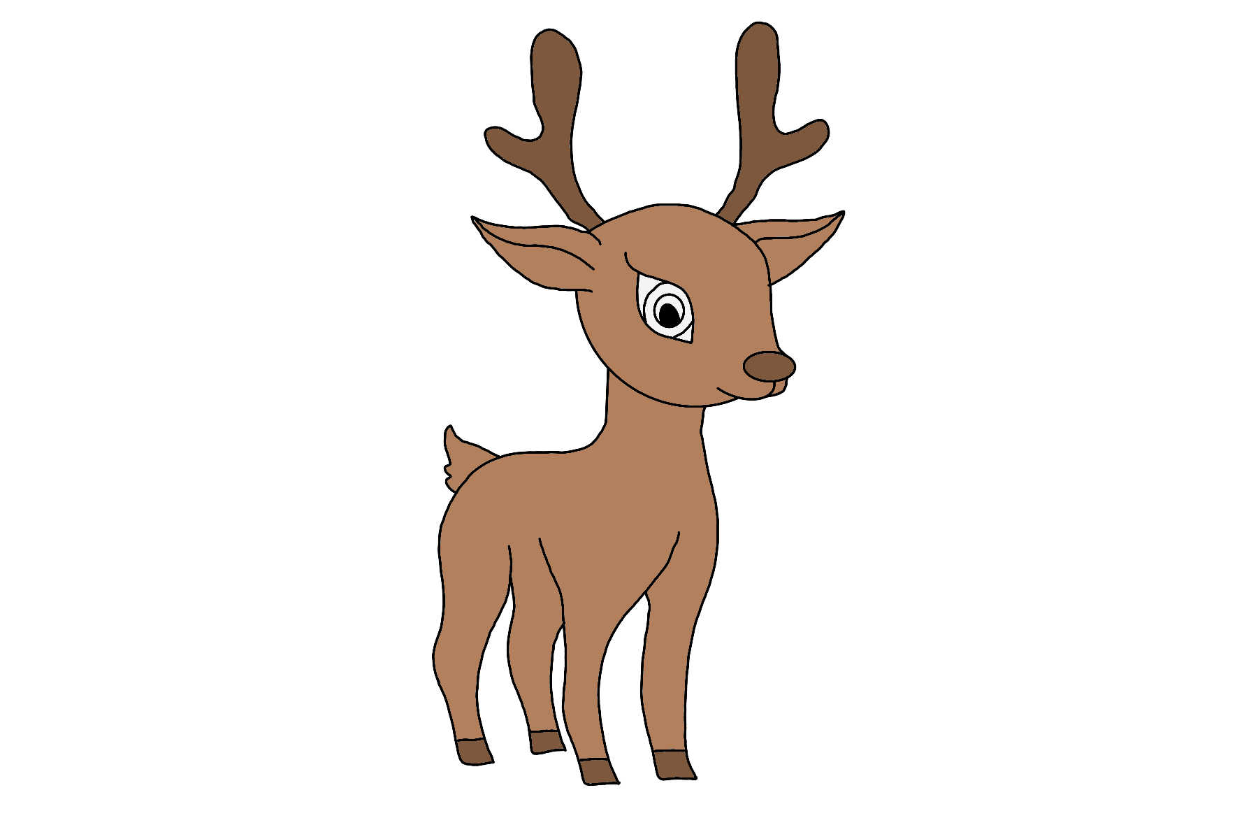 Deer