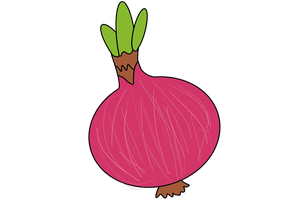 Onion