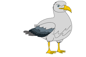 Seagull