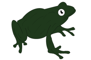 Tree_Frog_