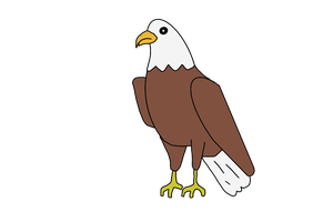 Young_Bald_Eagle